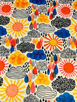 Summer Rain - Custom Order Specialty Print MInky