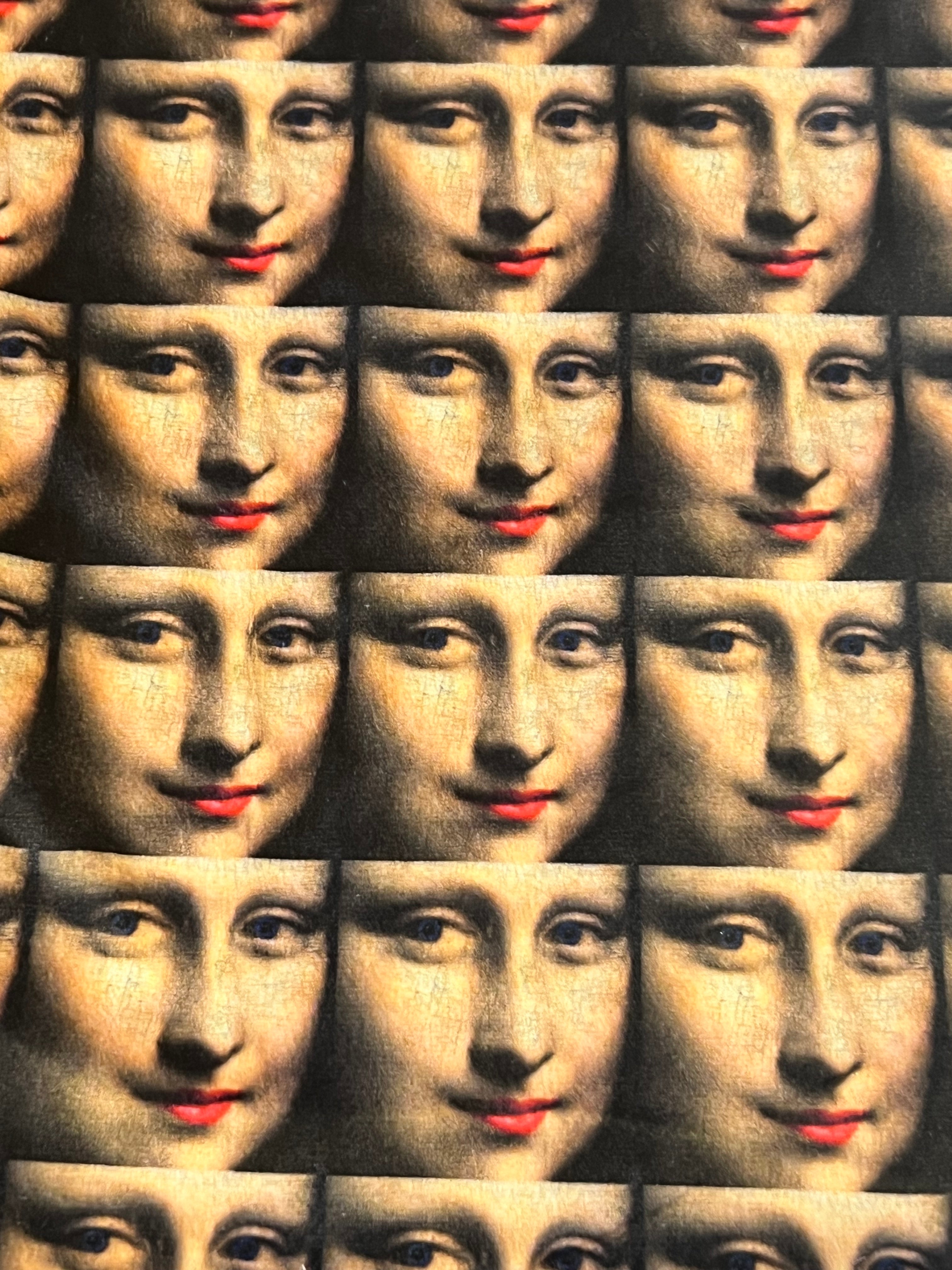Mona Lisa's Smile - Custom Order Specialty Print MInky