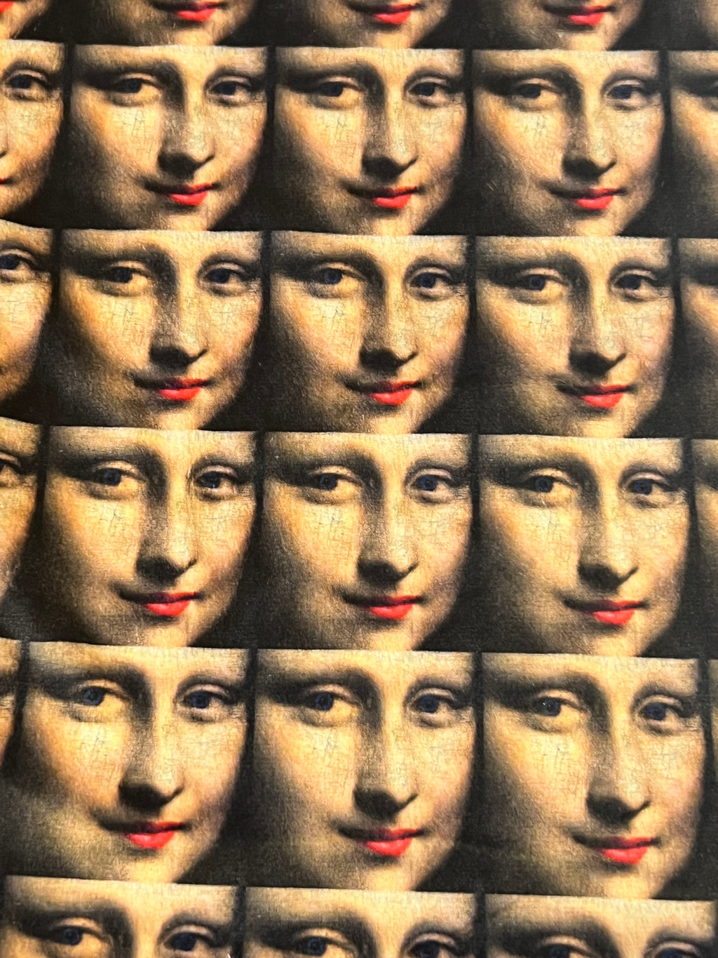 Mona Lisa's Smile - Custom Order Specialty Print MInky